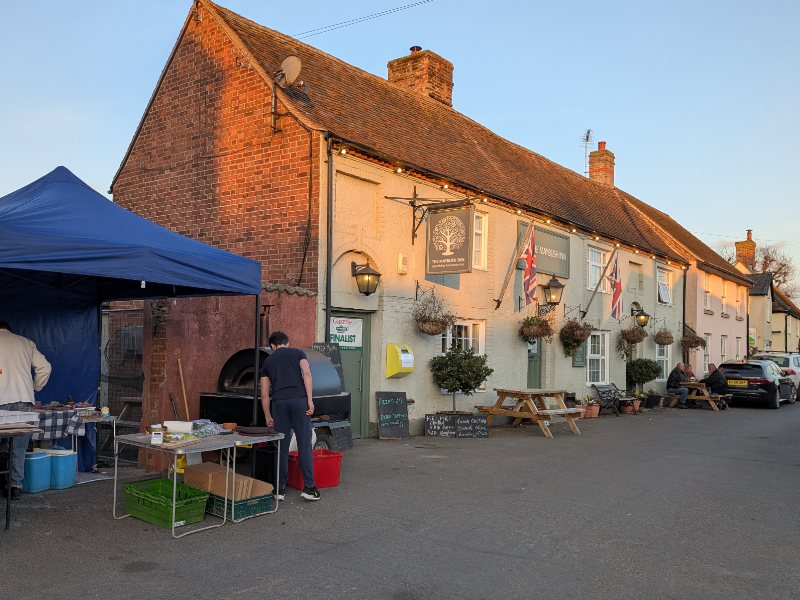 Maybush in evening light